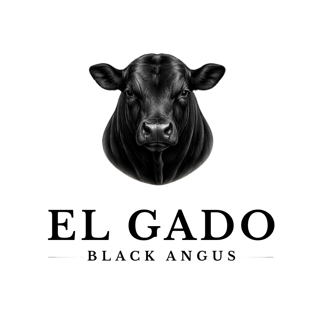 My Company Logo